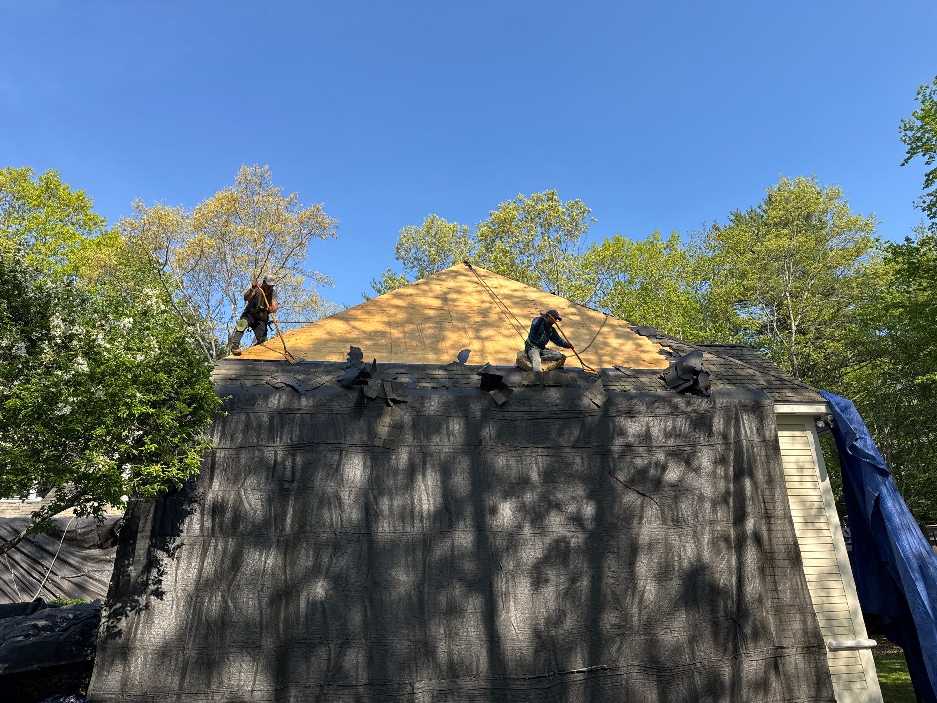 Tear-off and prep on an Exeter, NH roof replacement — old shingles stripped down to the bare deck